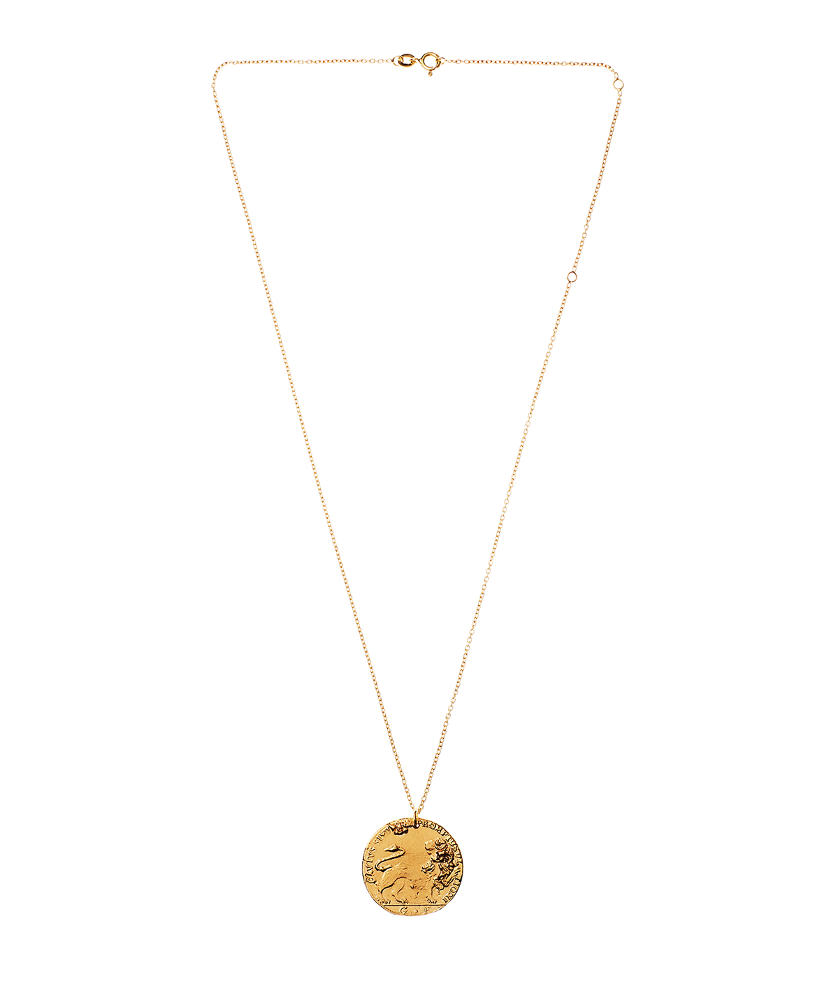 Il Leone Medallion — view 6