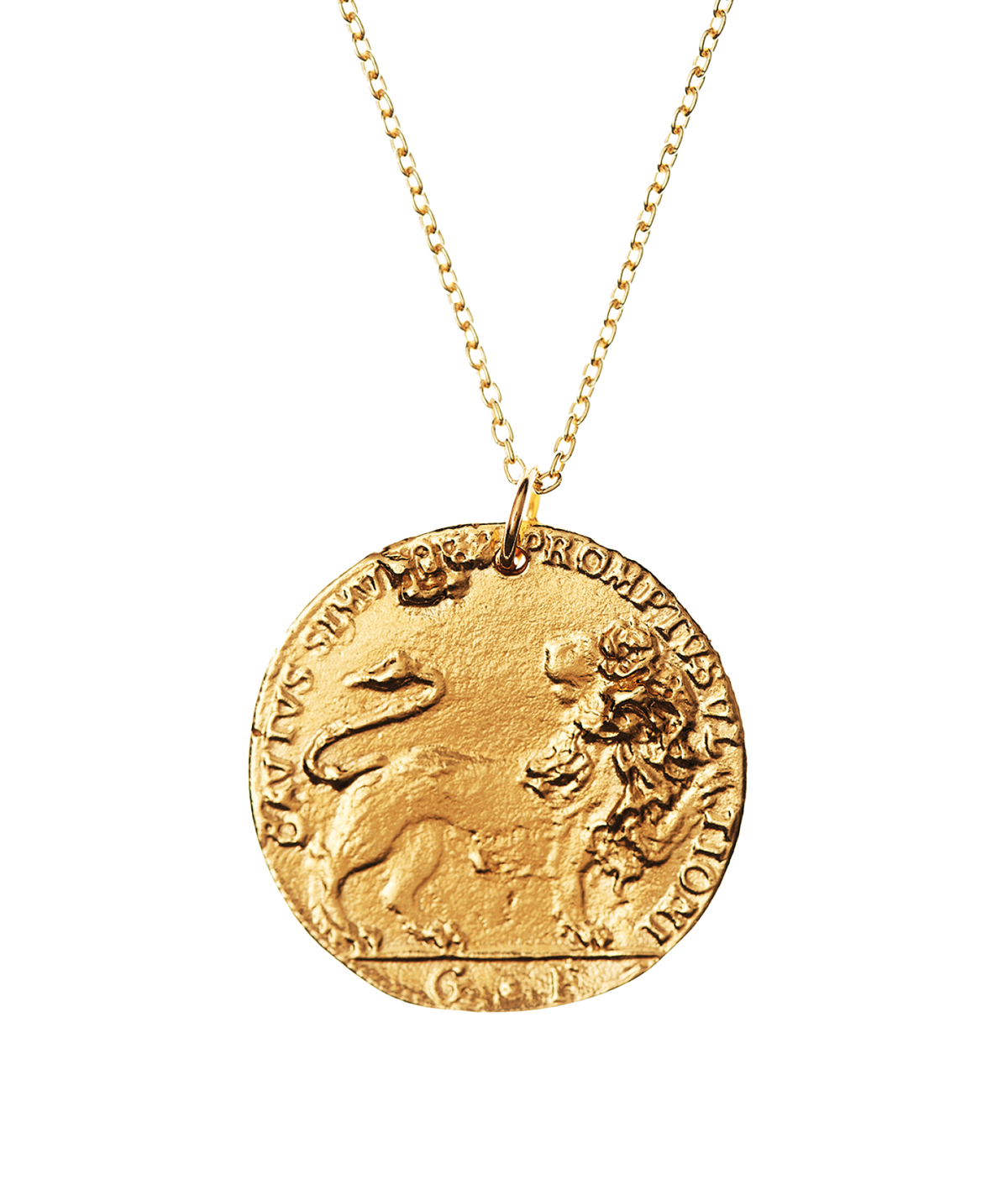 Il Leone Medallion — product view