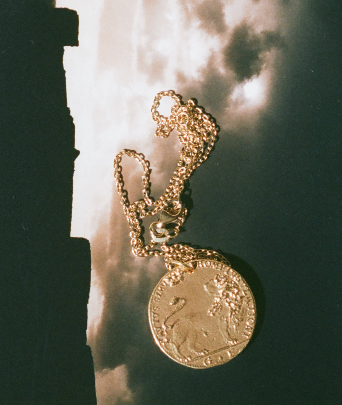 Il Leone Medallion — view 2