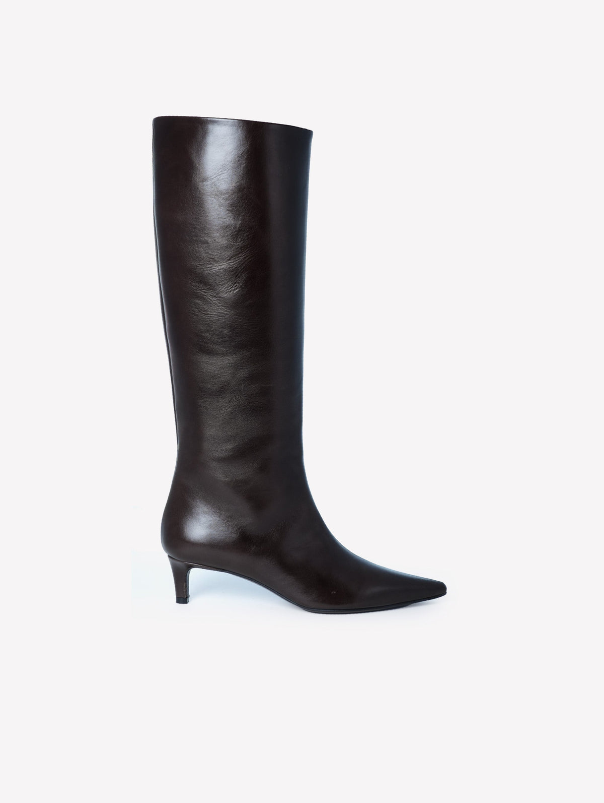 Taisia Leather Boots in Brown