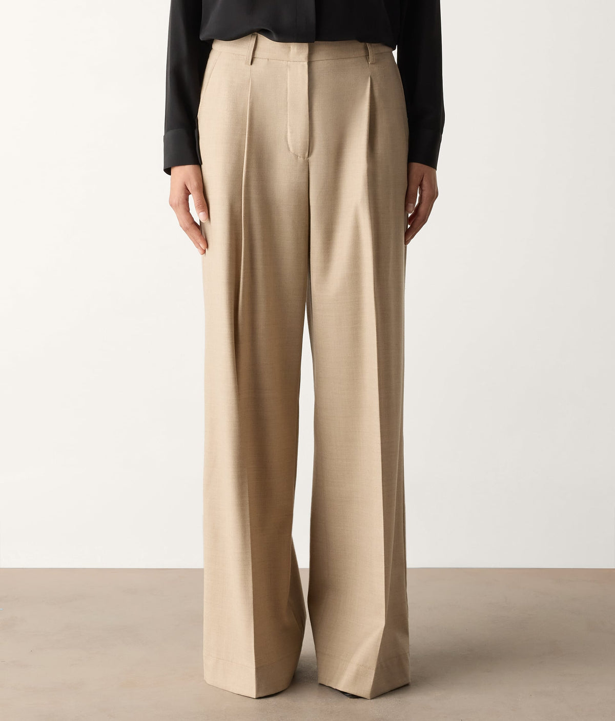 Fold Wool Wide-Leg Pleated Pants in Beige Corda, view 2
