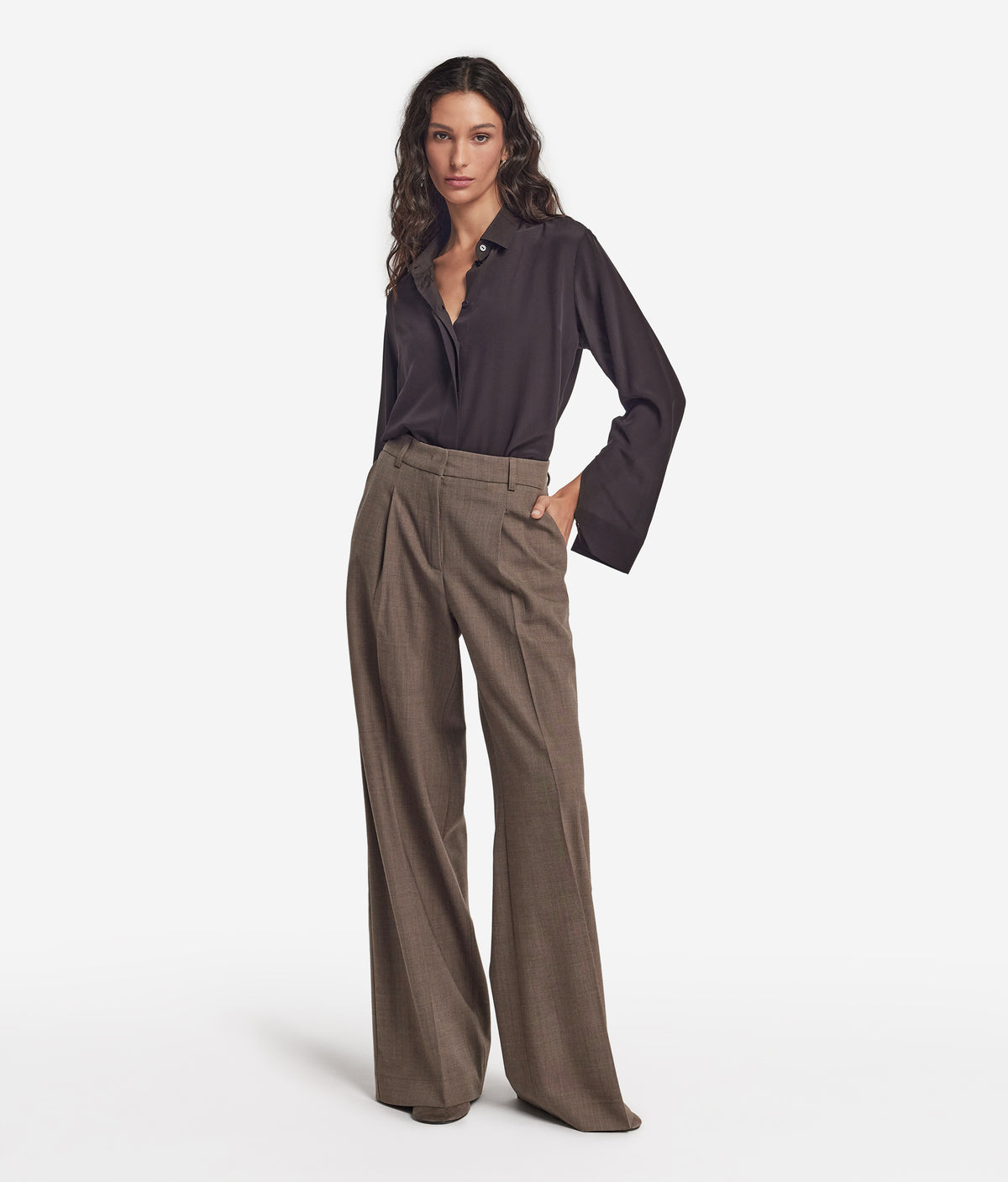 Fold Wool Wide-Leg Pleated Pants in Tortora Melange, primary view