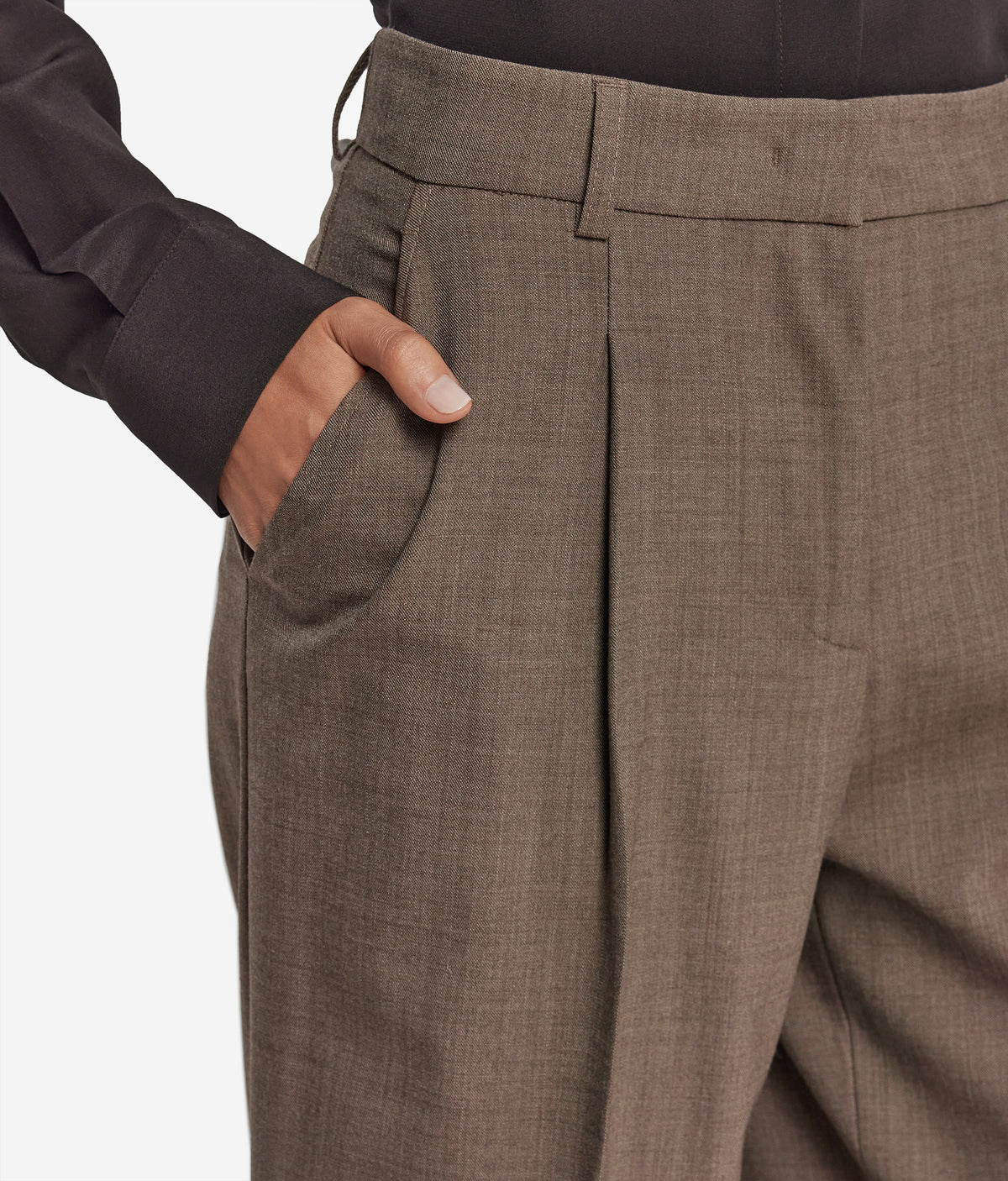 Fold Wool Wide-Leg Pleated Pants in Tortora Melange, view 4