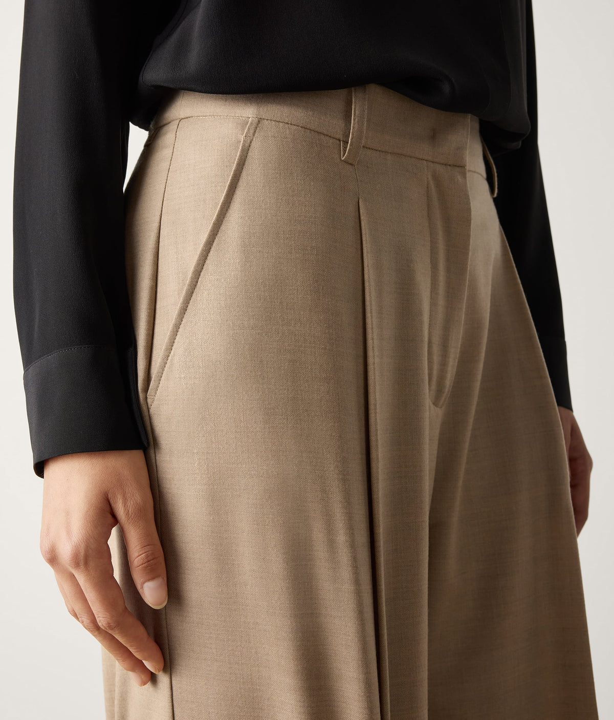 Fold Wool Wide-Leg Pleated Pants in Beige Corda, view 4