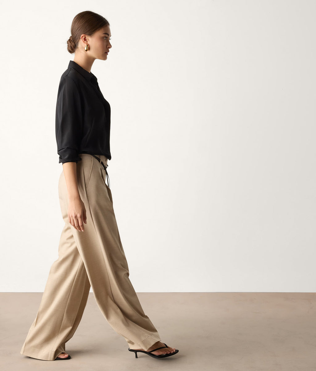 Fold Wool Wide-Leg Pleated Pants in Beige Corda, view 5