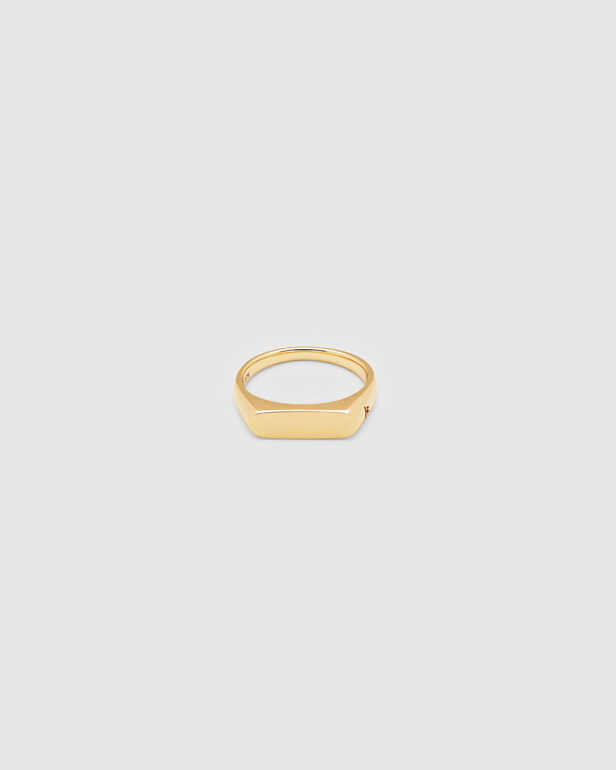 Line Slim Polished Signet Ring in 9K Gold, primary view
