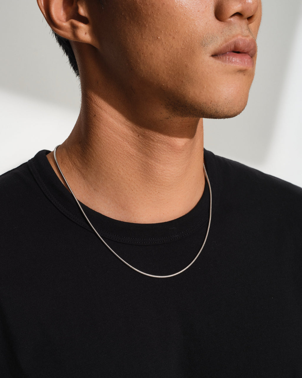 Line Slim Snake Chain Necklace in Silver, view 2
