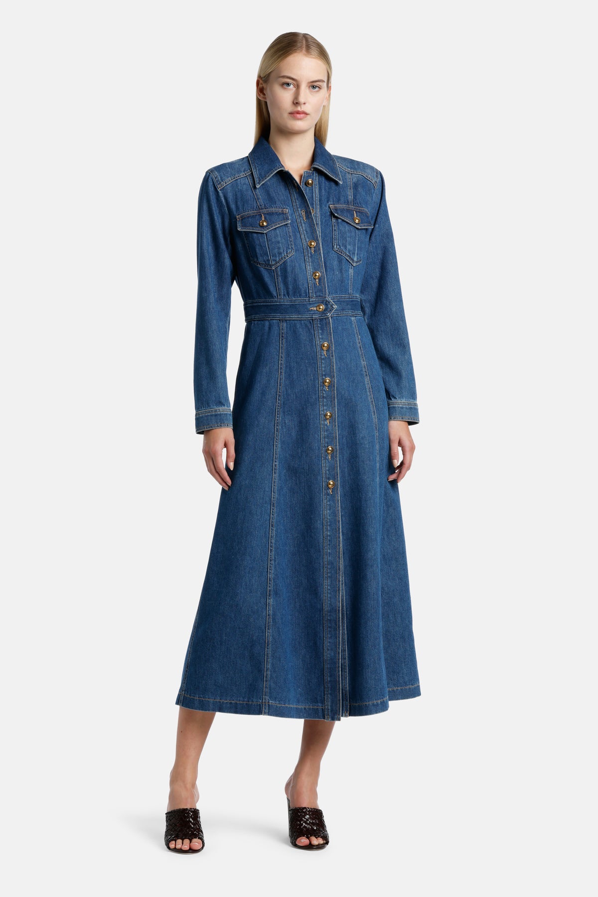 Pagella Denim Dress in Blue, primary view