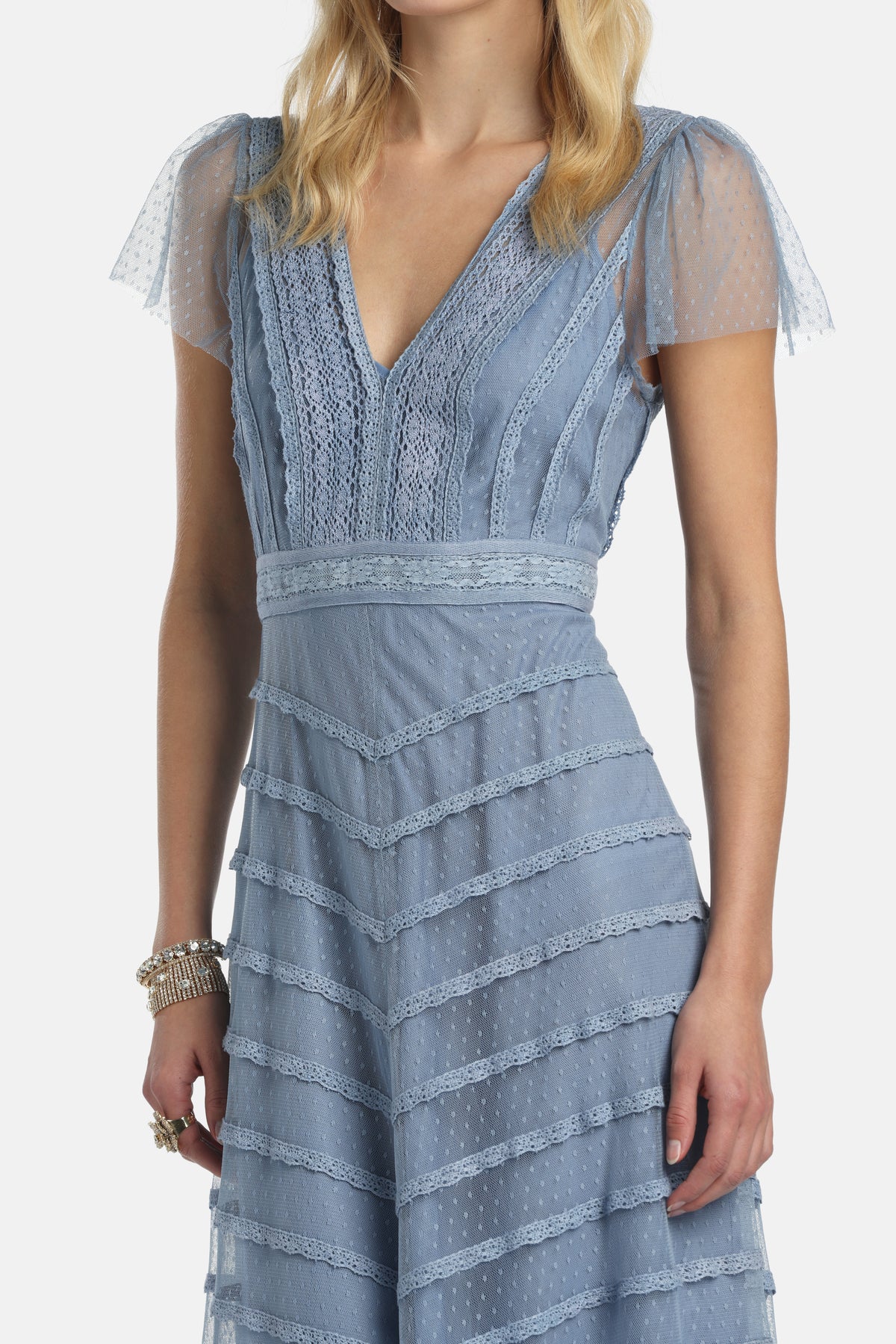 Prontezza Embroidered Gown in Blue, view 3