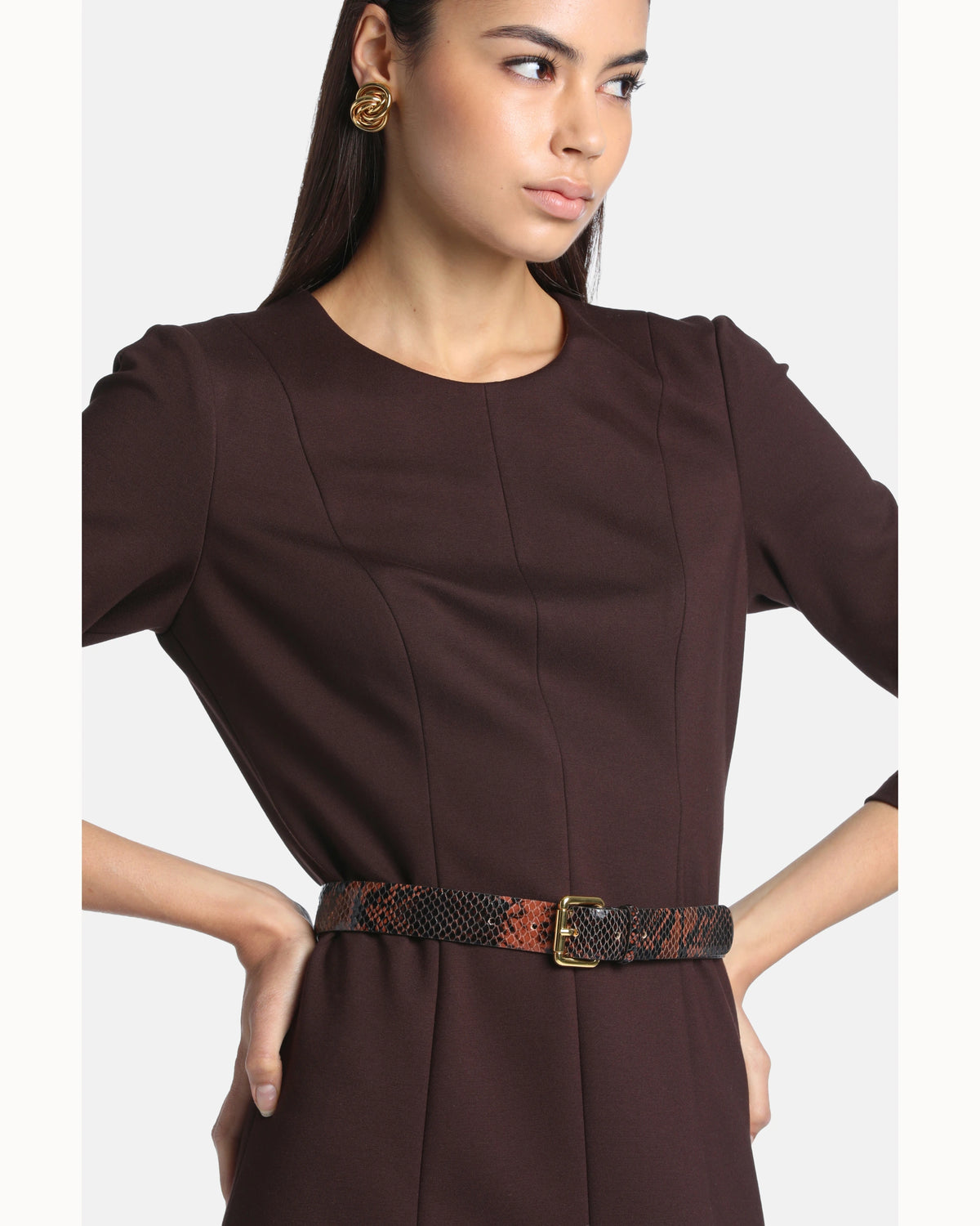 Lucia Dress in brown, view 3