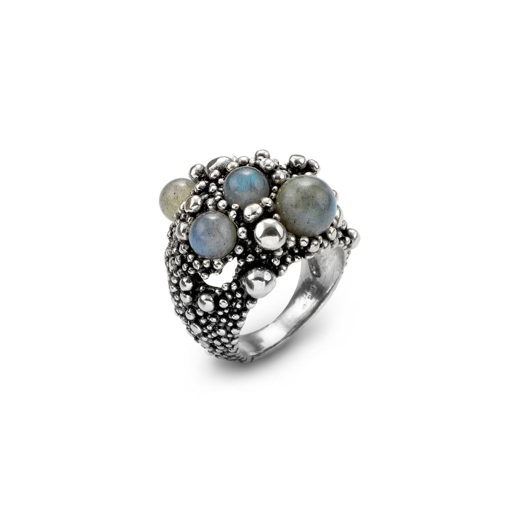 Halo Silver and Labradorite Ring in Silver, primary view