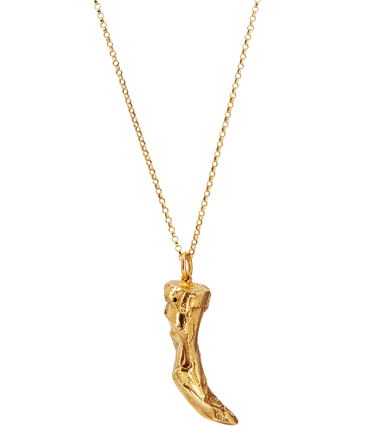 Orbit Gold-Plated Bronze Cat-Tooth Necklace, primary view