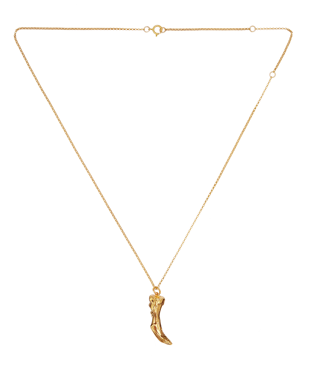 Orbit Gold-Plated Bronze Cat-Tooth Necklace, view 3