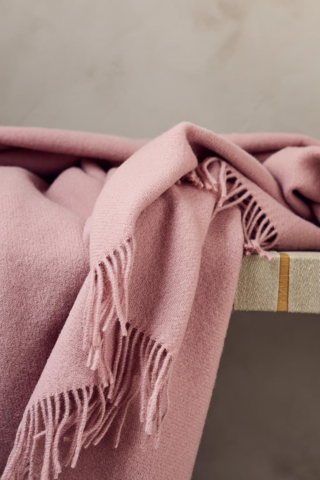 Season Throw in Blush, primary view