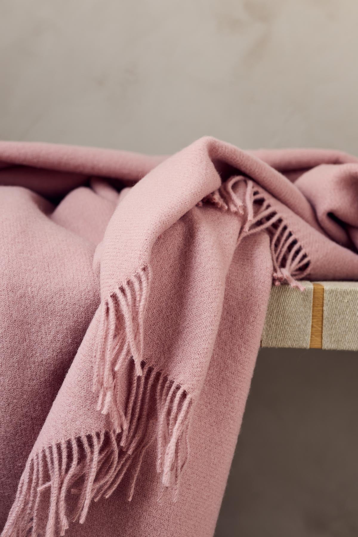 Season Throw in Blush, primary view