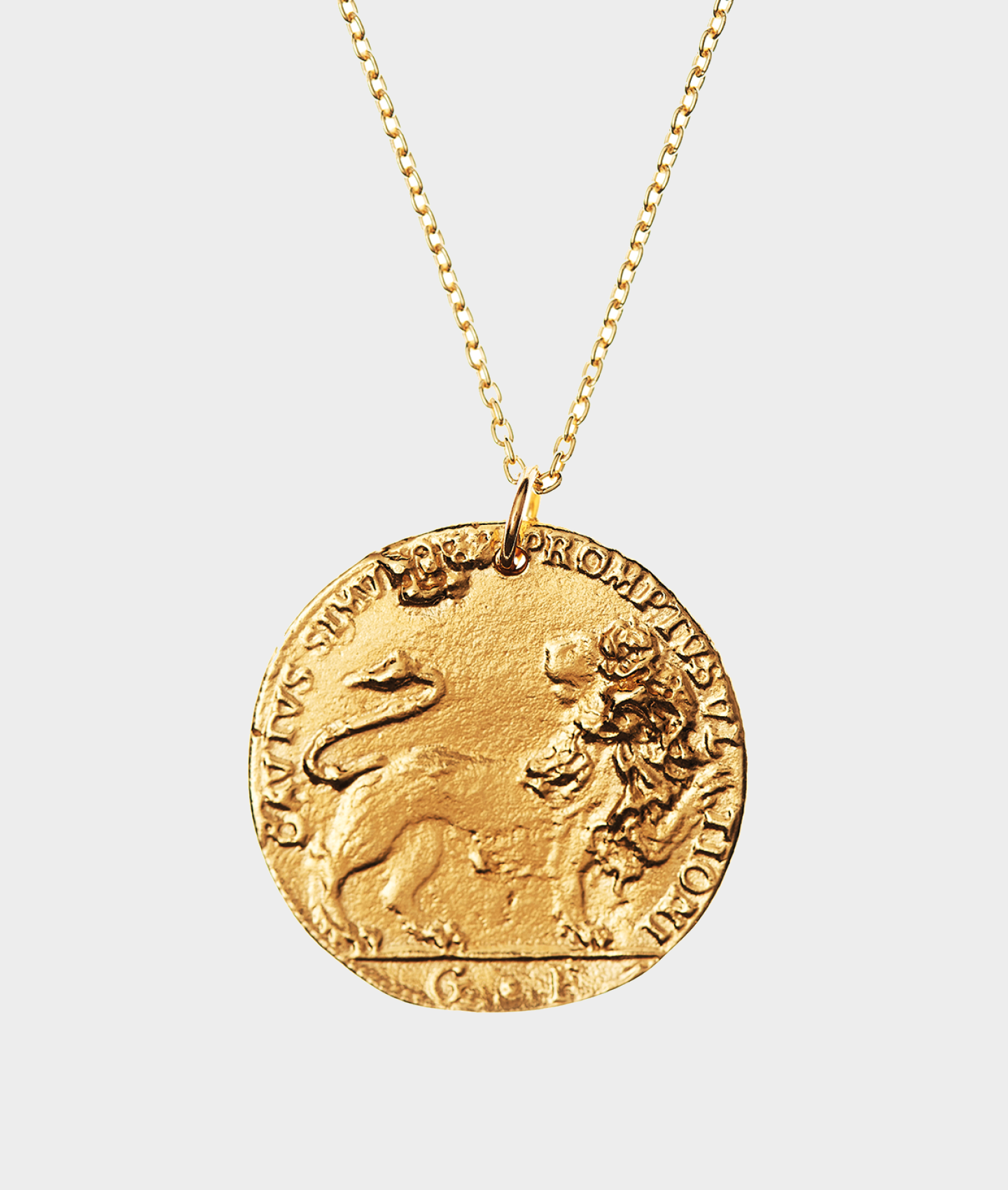 Form Gold-Plated Bronze Medallion Necklace — Default Title